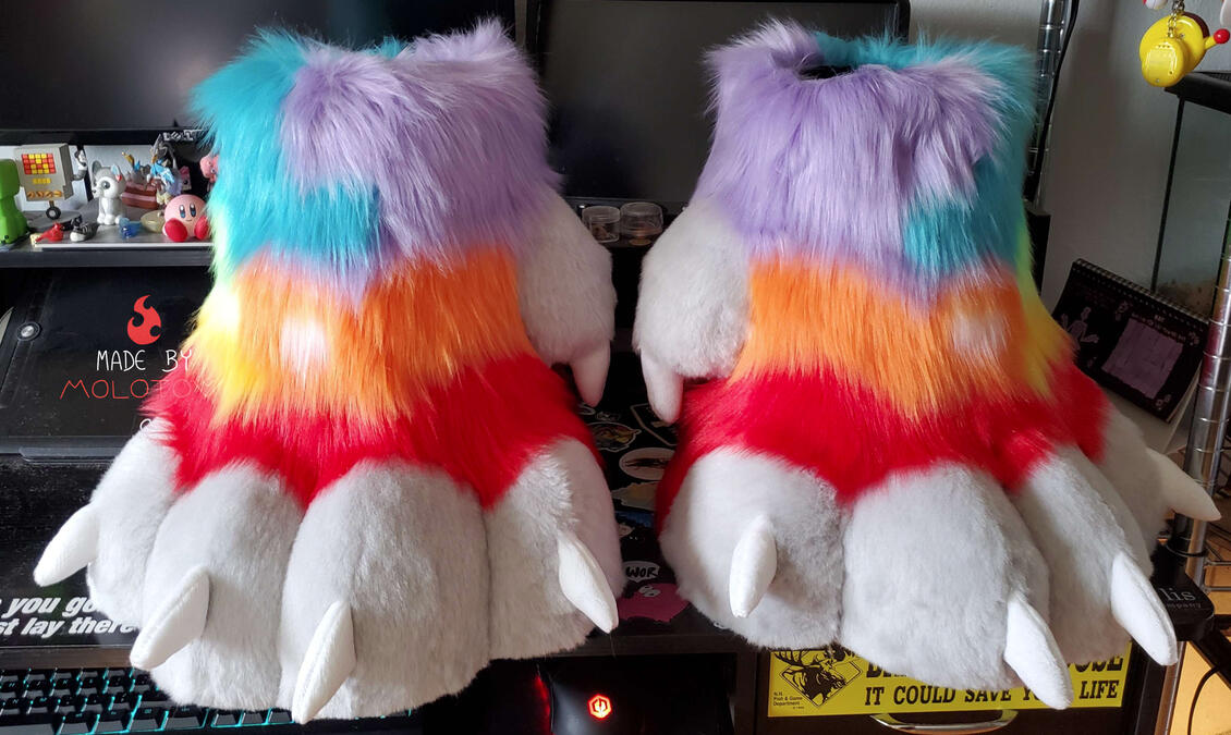 Feet1 A pair of feet paws.