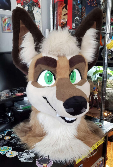 gris2 Another view of the fursuit head of Gris, a brown coyote with green eyes.