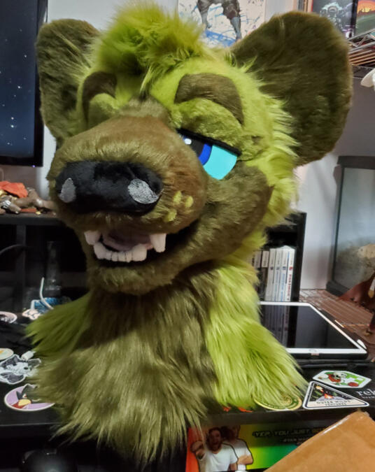 jin1 The head of Jin, a green spotted hyena.