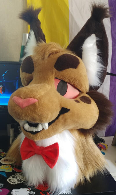 allen1 The head of Allen, a brown lynx wearing a red bow tie.