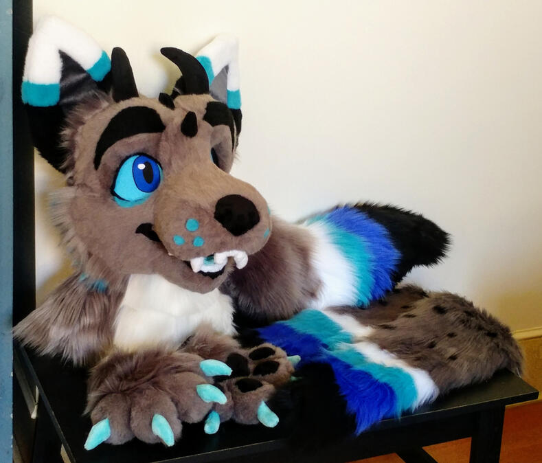 zephyr1 The head, paws, tail and arm sleeves of Zephyr, a grey and blue dragon wolf with black horns on his head.