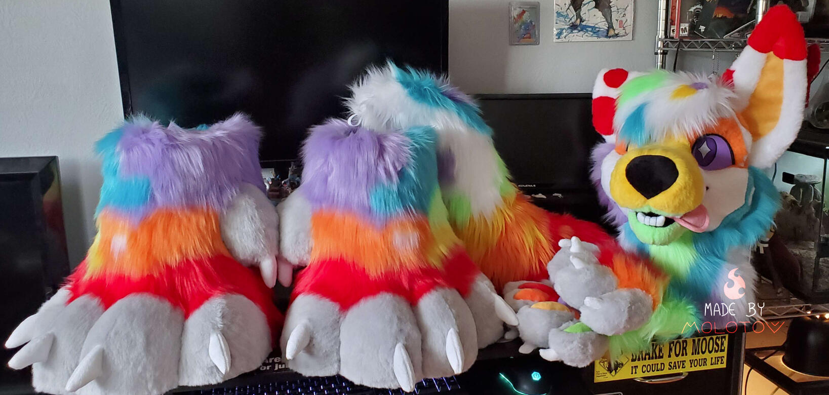 quartz1 The head, hands, feet, and tail of Quartz, a rainbow colored dog.