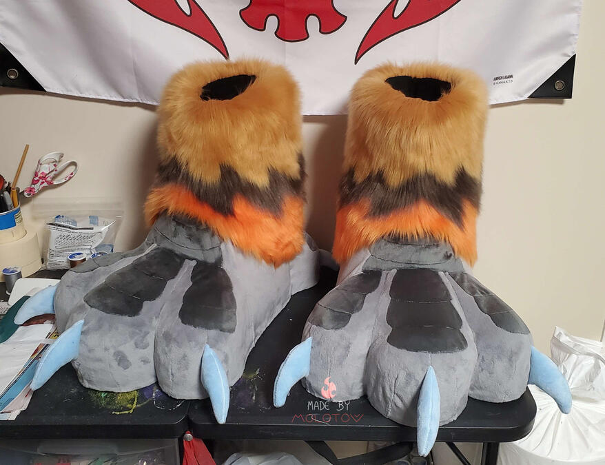 vulture4 The bearded vulture's feet.