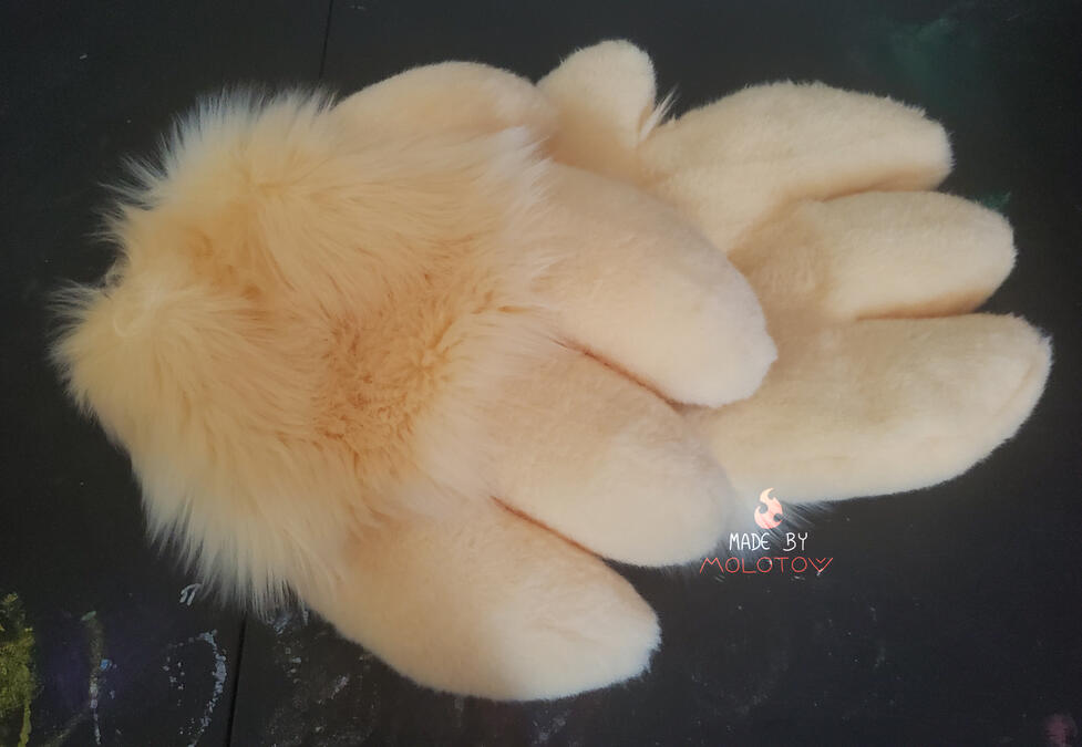 EMBER3 The handpaws of Ember.