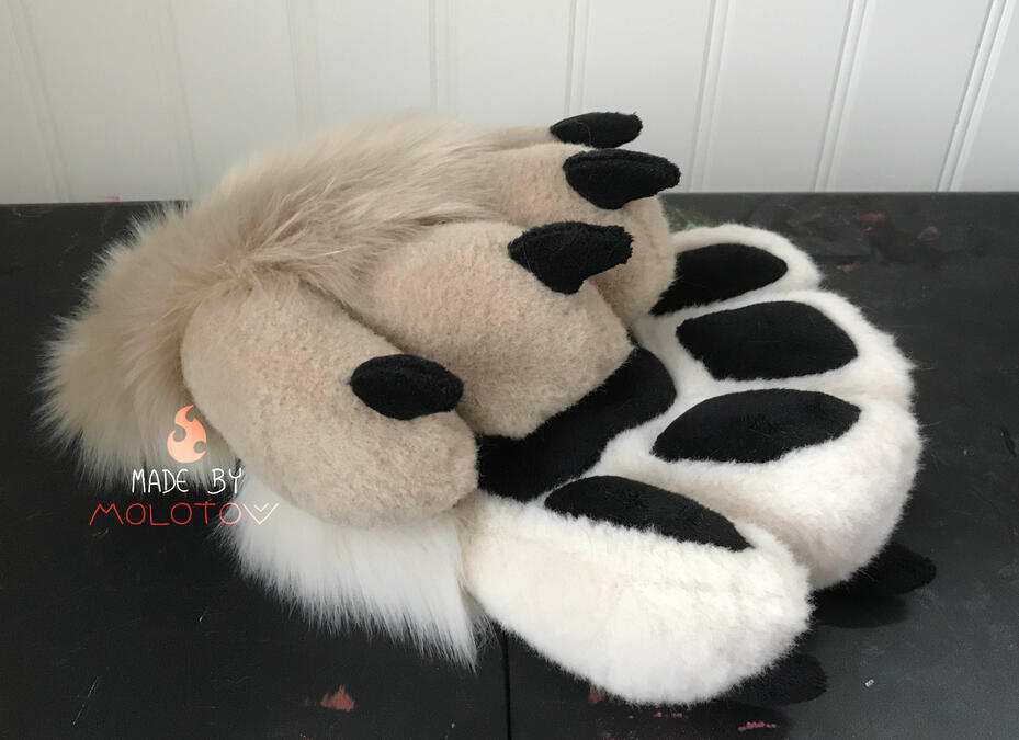 NEIL4 The handpaws of Neil.